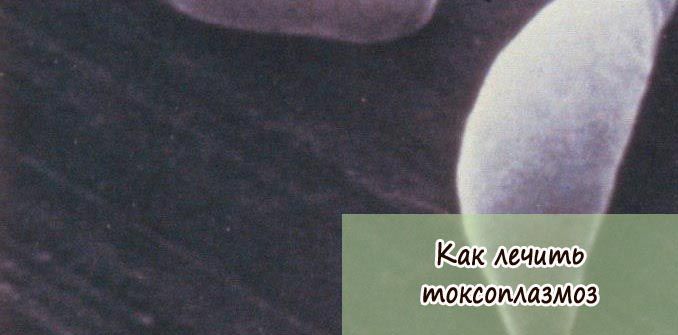 Какими препаратами и как лечить токсоплазмоз у человека? - Все для ...